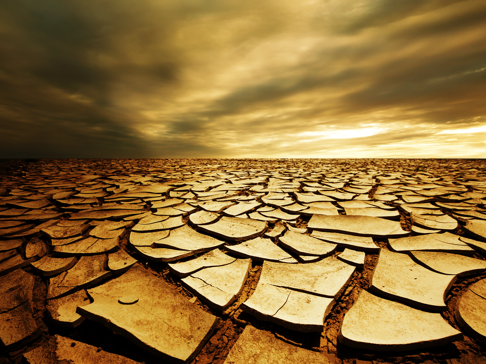 desert photo